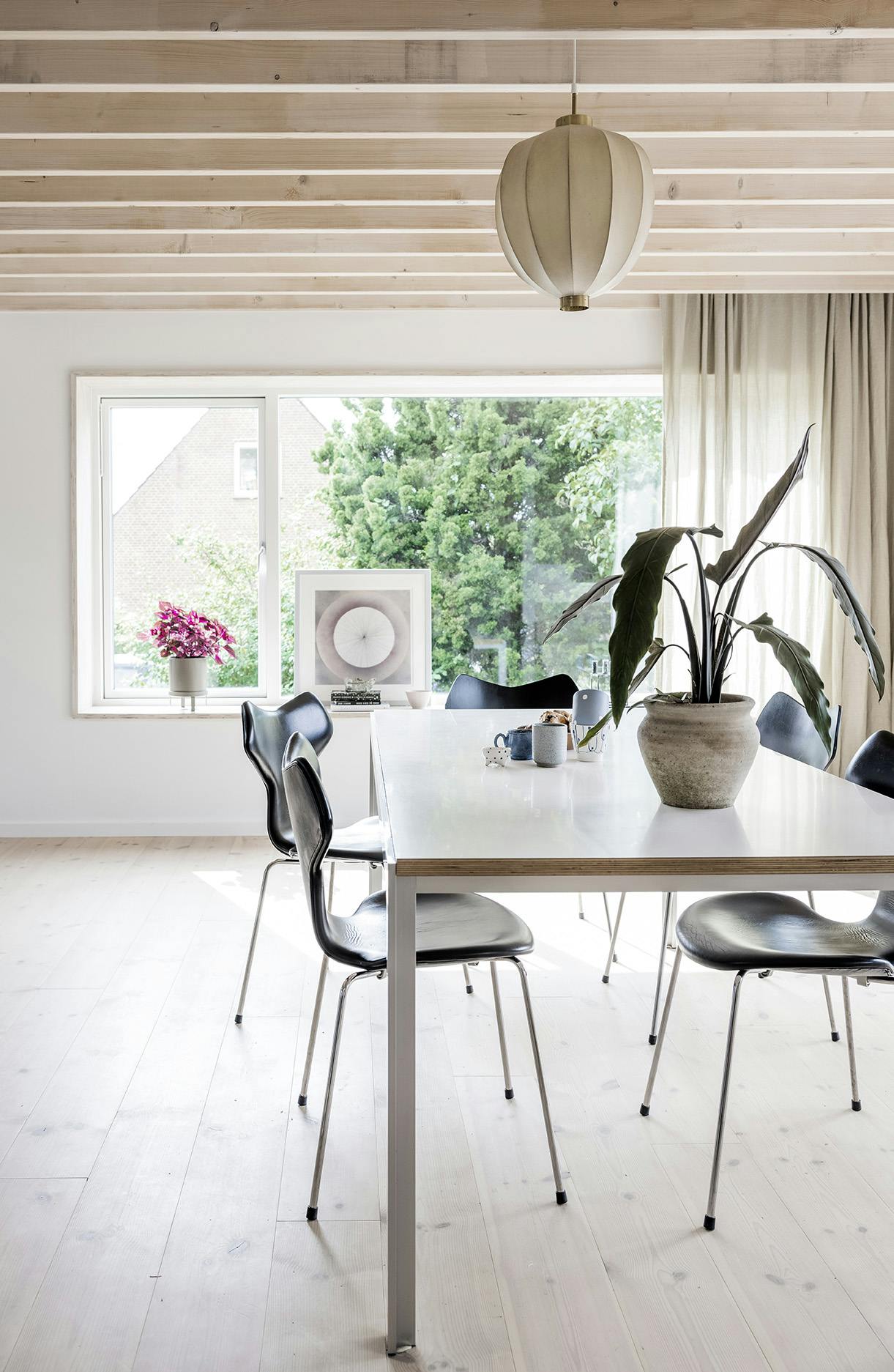 camillasmolfehusetbom220319 4vHIB5R xgc3qr6sQ Spisebordsstole Arne Jacobsen Grand Prix læder